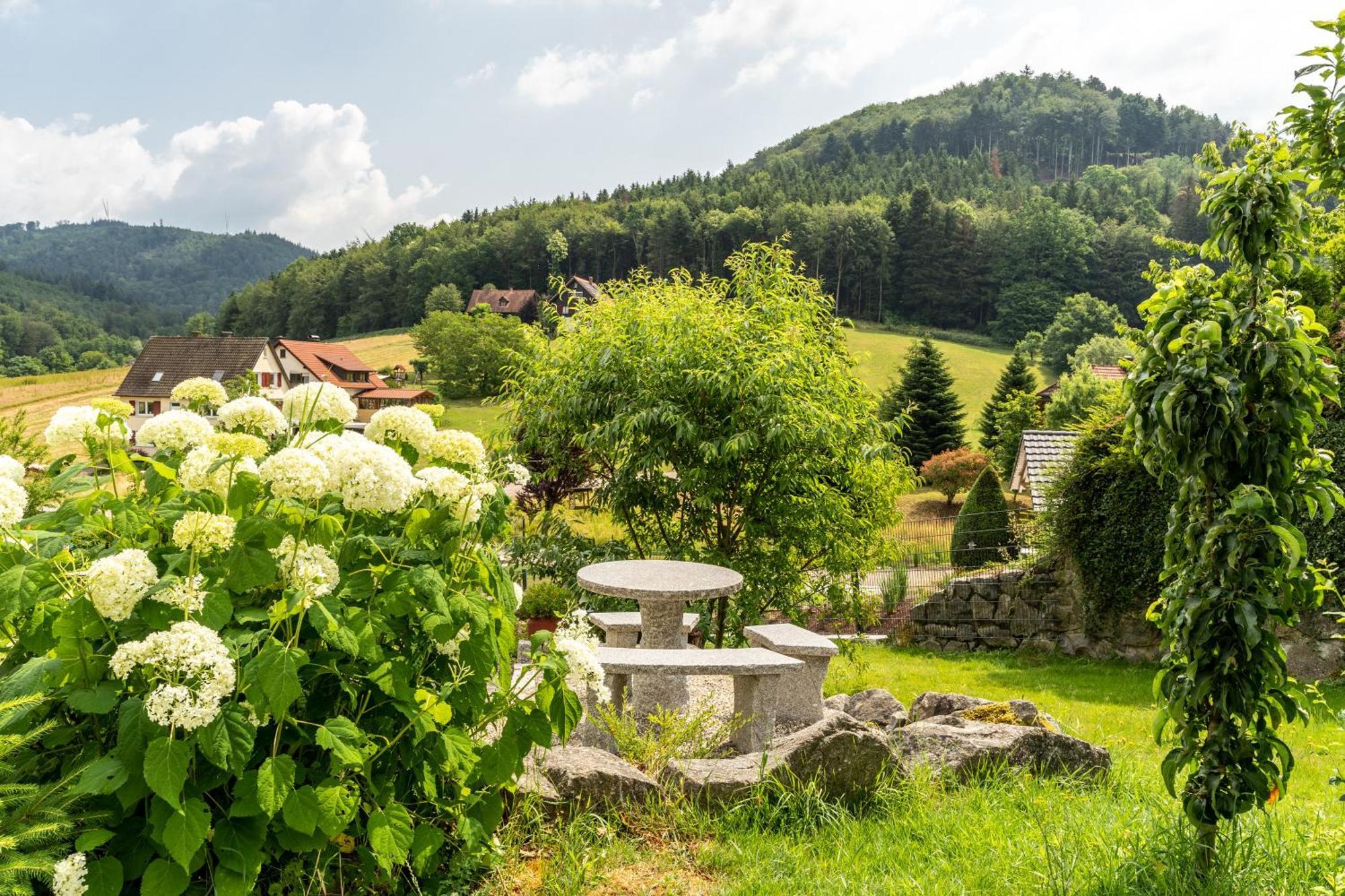 Haus 23 Daire Ettenheim Dış mekan fotoğraf